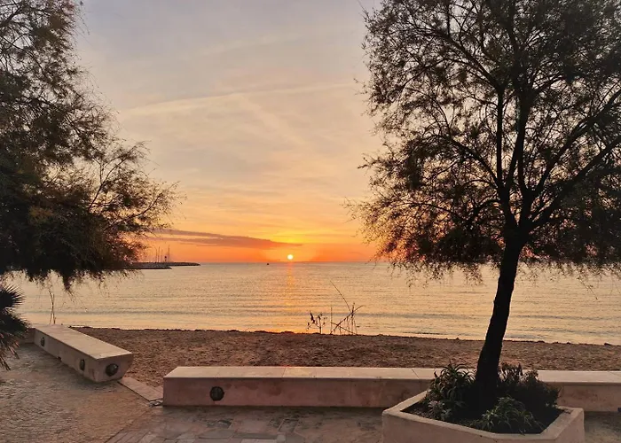 Bo015-222 2 Couchages Les Mimosas Apartment *